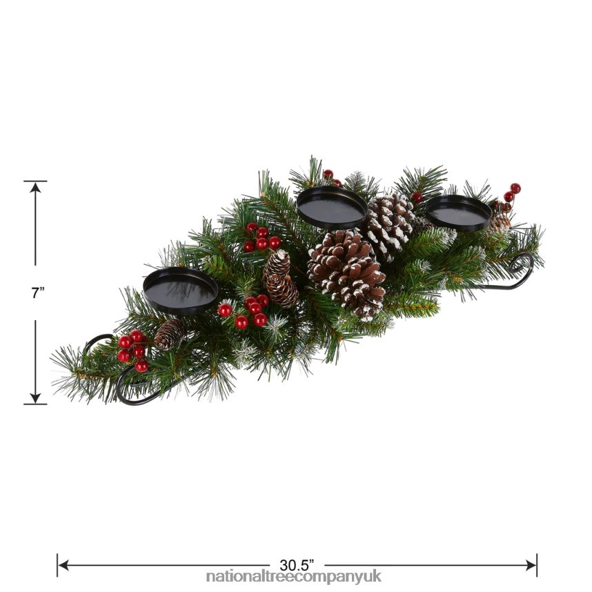 Greenery | National Tree Company 30in Frosted Berry Centerpiece and Candle Holder F2L4F455